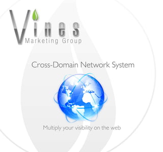 Cross domain network-system