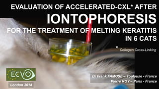 EVALUATION OF ACCELERATED-CXL* AFTER 
IONTOPHORESIS 
FOR THE TREATMENT OF MELTING KERATITIS 
IN 6 CATS 
* Collagen Cross-Linking 
Dr Frank FAMOSE – Toulouse - France 
Pierre ROY – Paris - France 
London 2014 
 