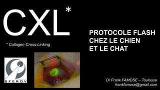 *
CXL
* Collagen Cross-Linking
                               PROTOCOLE FLASH
                               CHEZ LE CHIEN
                               ET LE CHAT



                                  Dr Frank FAMOSE – Toulouse
                                       frankfamose@gmail.com
 