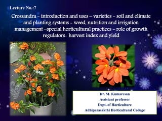 Crossandra - introduction and uses – varieties - soil and climate
and planting systems - weed, nutrition and irrigation
management –special horticultural practices - role of growth
regulators- harvest index and yield
Lecture No.:7
Dr. M. Kumaresan
Assistant professor
Dept. of Horticulture
Adhiparasakthi Horticultural College
 