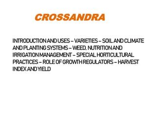 CROSSANDRA
INTRODUCTIONAND USES – VARIETIES– SOILAND CLIMATE
AND PLANTING SYSTEMS– WEED, NUTRITIONAND
IRRIGATIONMANAGEMENT – SPECIAL HORTICULTURAL
PRACTICES– ROLE OF GROWTHREGULATORS– HARVEST
INDEX AND YIELD
 