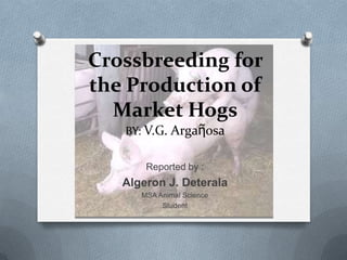 Crossbreeding for
the Production of
Market Hogs
BY: V.G. Argaῆosa
Reported by :
Algeron J. Deterala
MSA Animal Science
Student
 