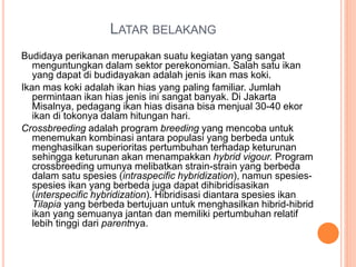 LATAR BELAKANG
Budidaya perikanan merupakan suatu kegiatan yang sangat
menguntungkan dalam sektor perekonomian. Salah satu ikan
yang dapat di budidayakan adalah jenis ikan mas koki.
Ikan mas koki adalah ikan hias yang paling familiar. Jumlah
permintaan ikan hias jenis ini sangat banyak. Di Jakarta
Misalnya, pedagang ikan hias disana bisa menjual 30-40 ekor
ikan di tokonya dalam hitungan hari.
Crossbreeding adalah program breeding yang mencoba untuk
menemukan kombinasi antara populasi yang berbeda untuk
menghasilkan superioritas pertumbuhan terhadap keturunan
sehingga keturunan akan menampakkan hybrid vigour. Program
crossbreeding umunya melibatkan strain-strain yang berbeda
dalam satu spesies (intraspecific hybridization), namun spesies-
spesies ikan yang berbeda juga dapat dihibridisasikan
(interspecific hybridization). Hibridisasi diantara spesies ikan
Tilapia yang berbeda bertujuan untuk menghasilkan hibrid-hibrid
ikan yang semuanya jantan dan memiliki pertumbuhan relatif
lebih tinggi dari parentnya.
 