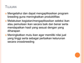 TUJUAN
 Mengetahui dan dapat mengaplikasikan program
breeding guna meningkatkan produktifitas
 Melakukan kegiatan/mengaplikasikan seleksi ikan
atau pemuliaan ikan secara baik dan benar serta
mendapatkan hasil yang sesuai dengan yang
diharapan
 Meningkatkan mutu ikan agar memiliki nilai jual
yang tinggi serta sebagai perbaikan keturunan
secara crossbreeding
 
