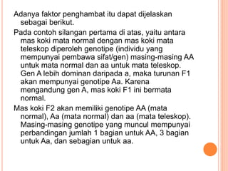 Adanya faktor penghambat itu dapat dijelaskan
sebagai berikut.
Pada contoh silangan pertama di atas, yaitu antara
mas koki mata normal dengan mas koki mata
teleskop diperoleh genotipe (individu yang
mempunyai pembawa sifat/gen) masing-masing AA
untuk mata normal dan aa untuk mata teleskop.
Gen A lebih dominan daripada a, maka turunan F1
akan mempunyai genotipe Aa. Karena
mengandung gen A, mas koki F1 ini bermata
normal.
Mas koki F2 akan memiliki genotipe AA (mata
normal), Aa (mata normal) dan aa (mata teleskop).
Masing-masing genotipe yang muncul mempunyai
perbandingan jumlah 1 bagian untuk AA, 3 bagian
untuk Aa, dan sebagian untuk aa.
 