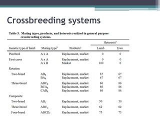 Crossbreeding systems
 