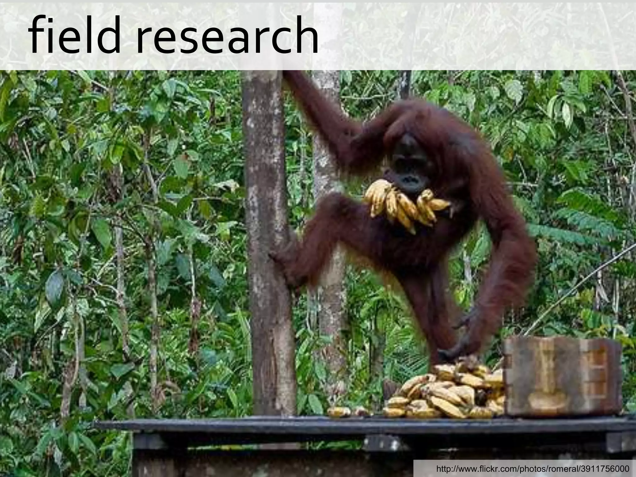   field researchhttp://www.flickr.com/photos/romeral/3911756000