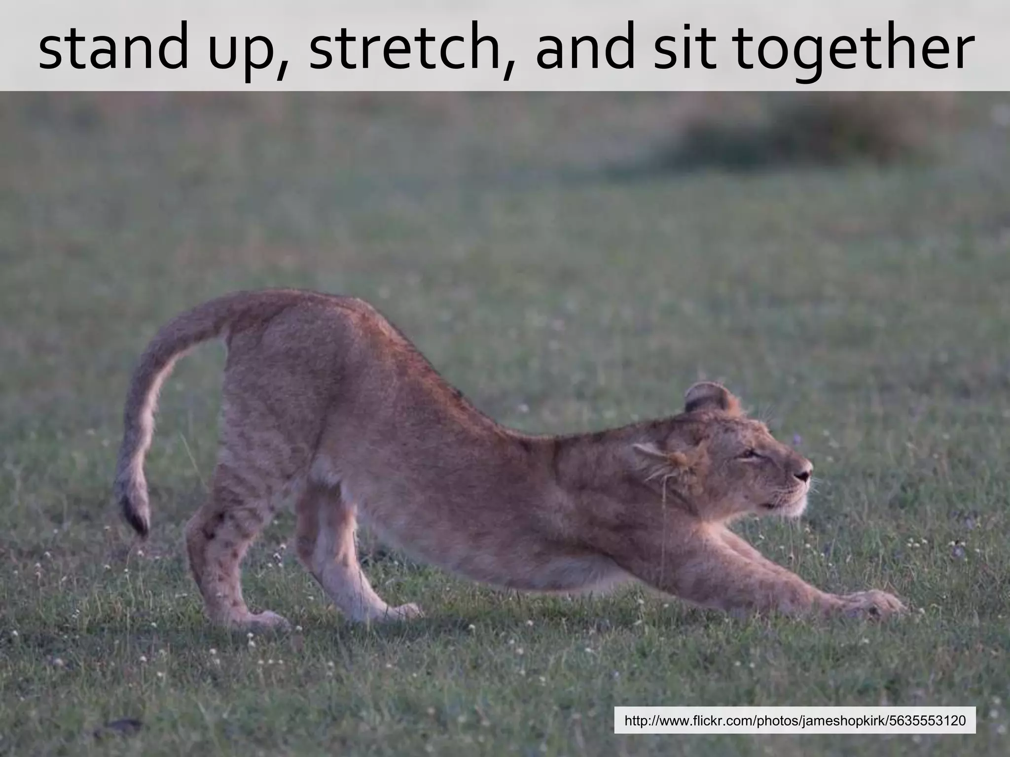   stand up, stretch, and sit togetherhttp://www.flickr.com/photos/jameshopkirk/5635553120