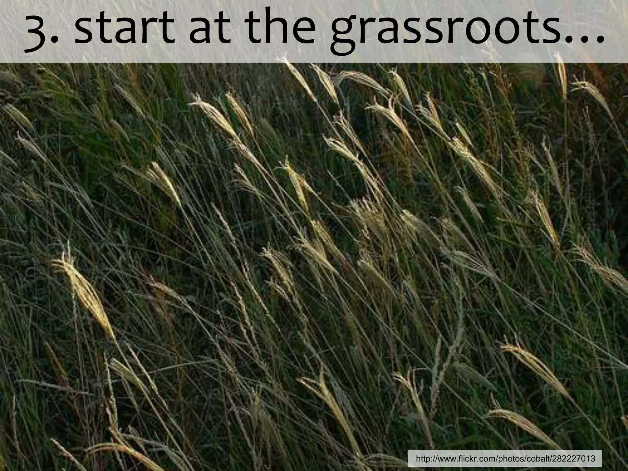   3. start at the grassroots…http://www.flickr.com/photos/cobalt/282227013