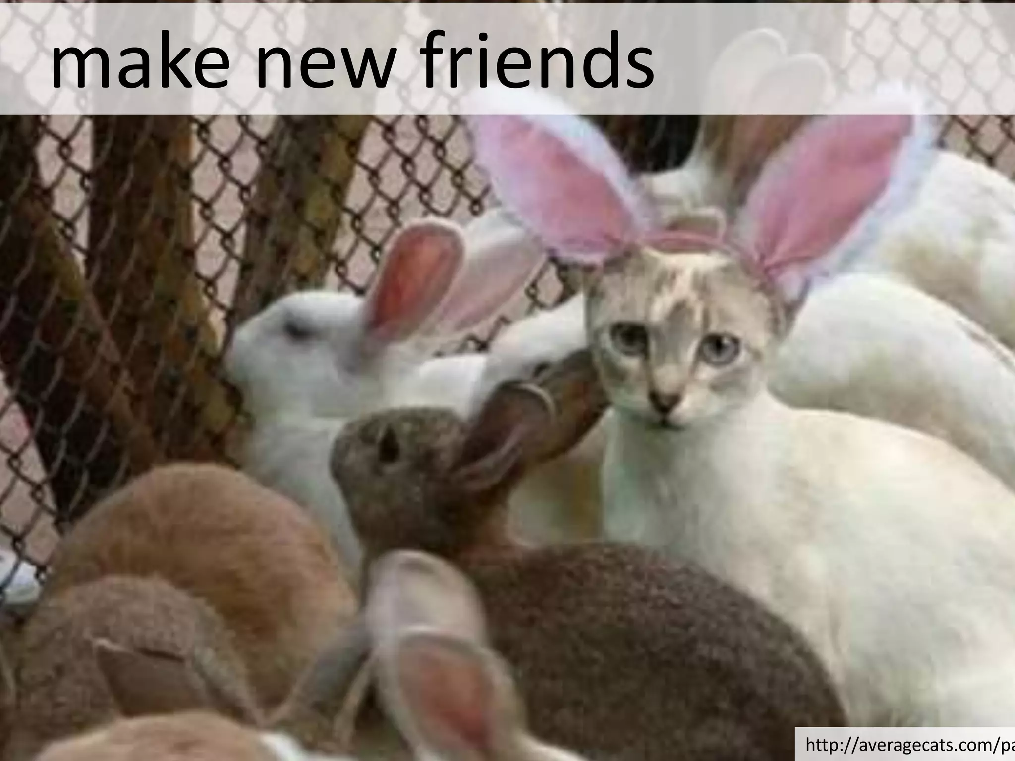 expose your executives and other powerful people to customer feedback