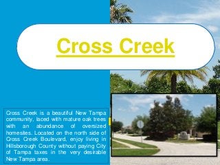 Cross Creek is a beautiful New Tampa
community, laced with mature oak trees
with an abundance of oversized
homesites. Located on the north side of
Cross Creek Boulevard, enjoy living in
Hillsborough County without paying City
of Tampa taxes in the very desirable
New Tampa area.
Cross Creek
 