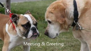 Meeting & Greeting
 