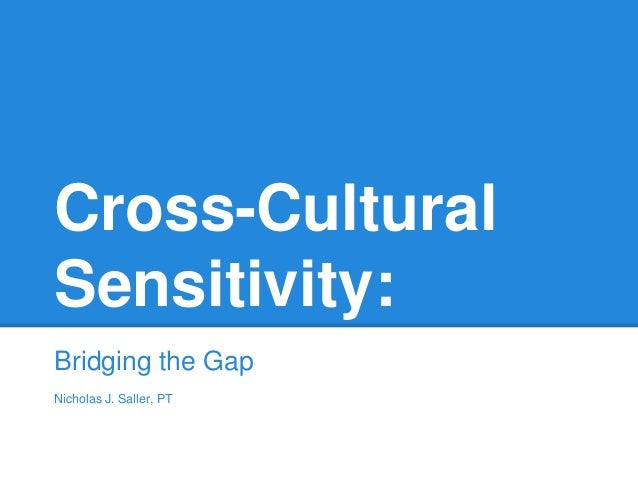 cross cultural sensitivity bridging the gap nicholas j saller