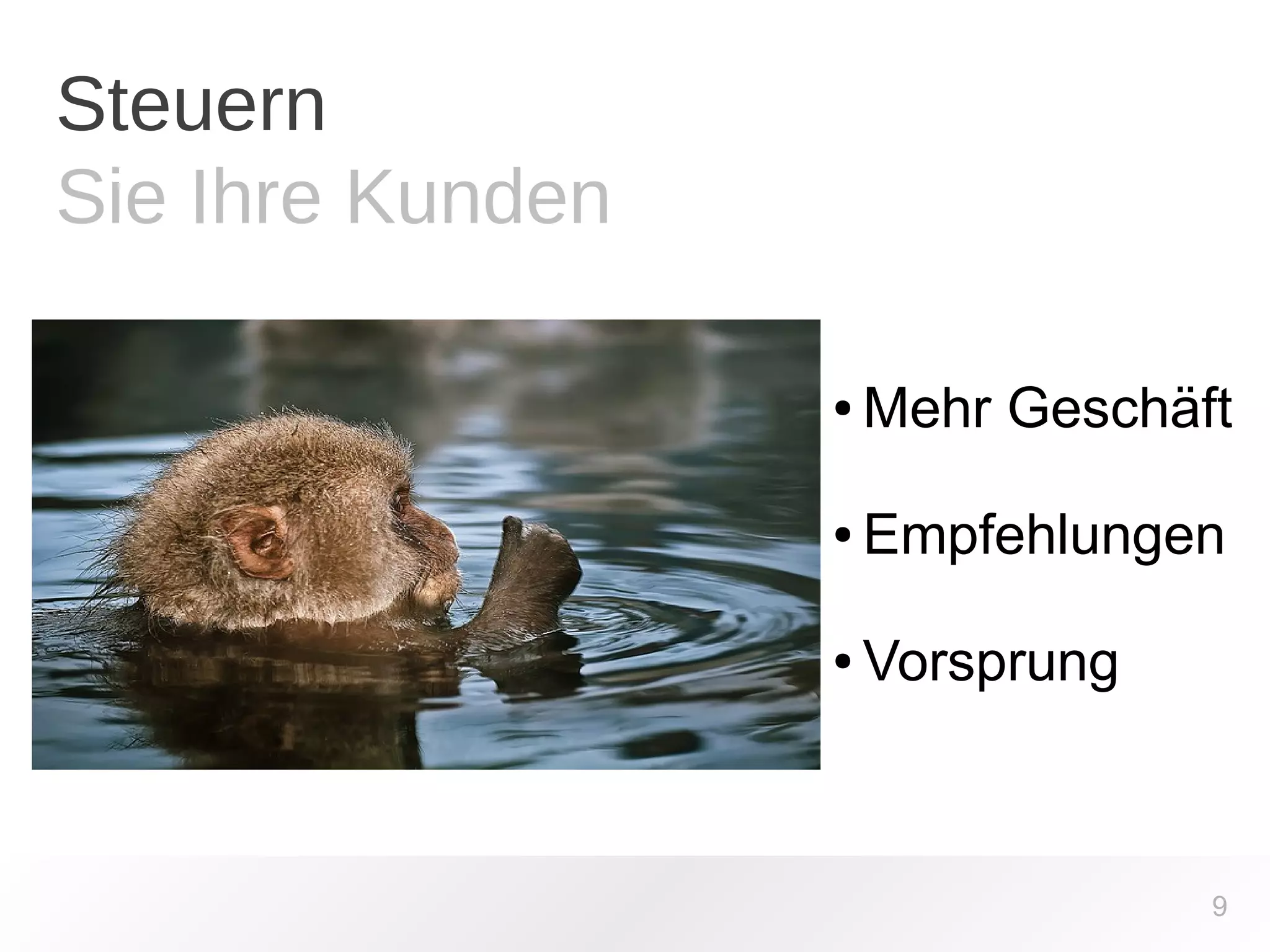 Steuern 
Sie Ihre Kunden 
● Mehr Geschäft 
● Empfehlungen 
9 
● Vorsprung 
 