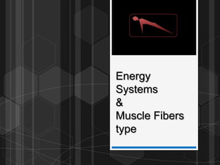 Energy
Systems
&
Muscle Fibers
type
 