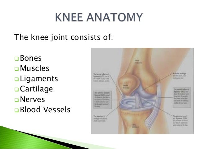 u rotated cross Knee Prevention) and (Management Injuries U CrossFit u rotated cross Knee Prevention) and (Management Injuries U CrossFit