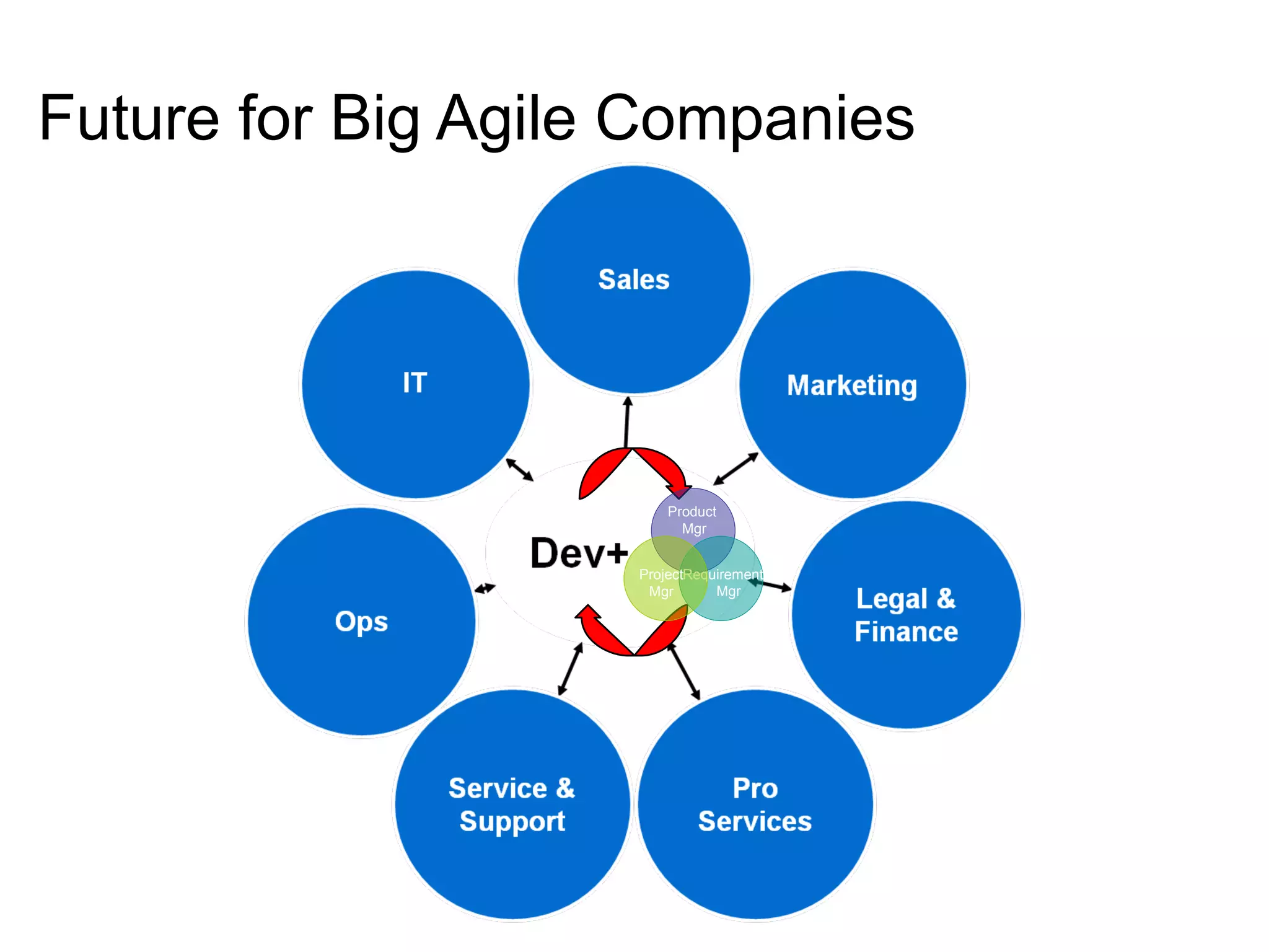 Future for Big Agile Companies Product  Mgr Requirements  Mgr Project Mgr 