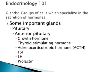  Some important glands
◦ Pituitary
 Anterior pituitary
 Growth hormone
 Thyroid stimulating hormone
 Adrenocorticotropic hormone (ACTH)
 FSH
 LH
 Prolactin
 