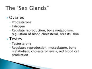  Ovaries
◦ Progesterone
◦ Estrogen
◦ Regulate reproduction, bone metabolism,
regulation of blood cholesterol, breasts, skin
 Testes
◦ Testosterone
◦ Regulates reproduction, musculature, bone
metabolism, cholesterol levels, red blood cell
production
 