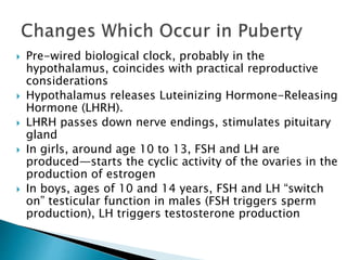  Pre-wired biological clock, probably in the
hypothalamus, coincides with practical reproductive
considerations
 Hypothalamus releases Luteinizing Hormone-Releasing
Hormone (LHRH).
 LHRH passes down nerve endings, stimulates pituitary
gland
 In girls, around age 10 to 13, FSH and LH are
produced—starts the cyclic activity of the ovaries in the
production of estrogen
 In boys, ages of 10 and 14 years, FSH and LH “switch
on” testicular function in males (FSH triggers sperm
production), LH triggers testosterone production
 
