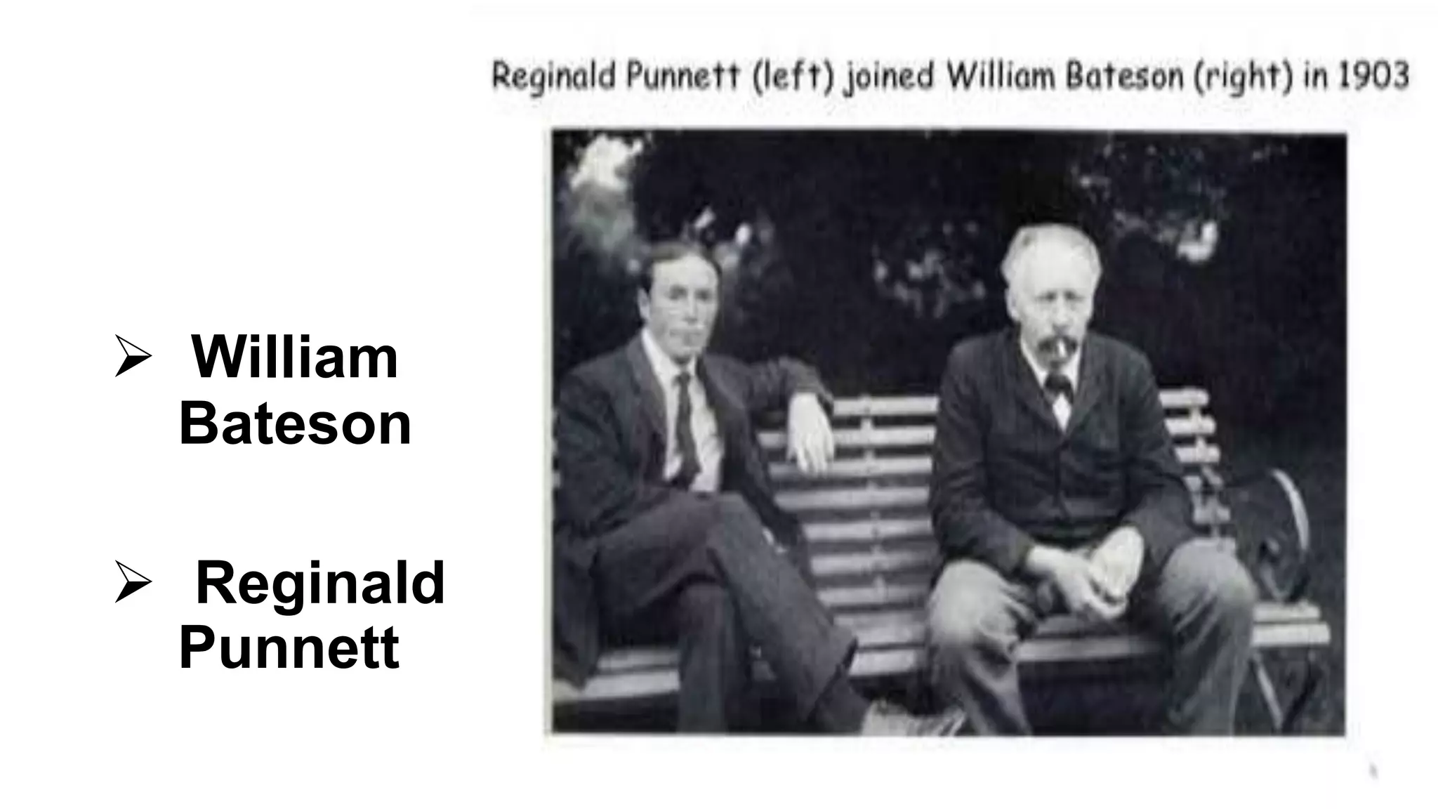  William
Bateson
 Reginald
Punnett
 