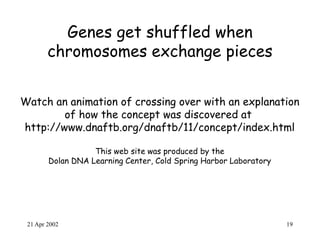 21 Apr 2002 19
Genes get shuffled when
chromosomes exchange pieces
Watch an animation of crossing over with an explanation
of how the concept was discovered at
http://www.dnaftb.org/dnaftb/11/concept/index.html
This web site was produced by the
Dolan DNA Learning Center, Cold Spring Harbor Laboratory
 