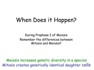 When Does it Happen?
During Prophase I of Meiosis
Remember the differences between
Mitosis and Meiosis?
Meiosis increases genetic diversity in a species
Mitosis creates genetically identical daughter cells
 