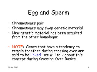 21 Apr 2002 8
Egg and Sperm
• Chromosomes pair
• Chromosomes may swap genetic material
• New genetic material has been acquired
from the other homologue
• NOTE: Genes that have a tendency to
remain together during crossing over are
said to be linked—we will talk about this
concept during Crossing Over Basics
 