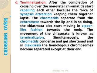Terminalization Finger Crossing_overasdfghjklqwertyuwertwert.pptx