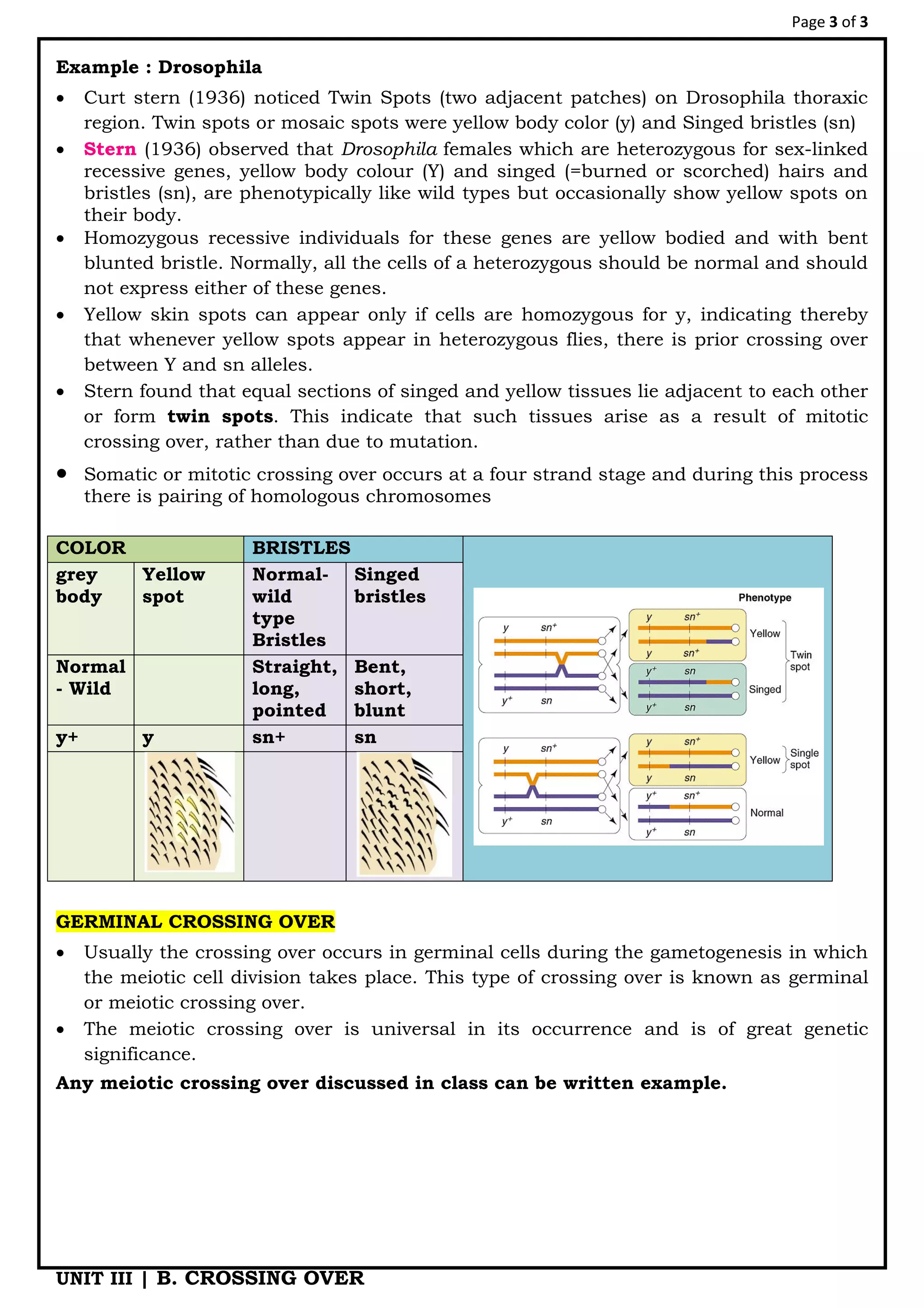 Crossing over basics | PDF
