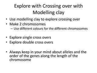 Crossing over and independent assortment | PPTX