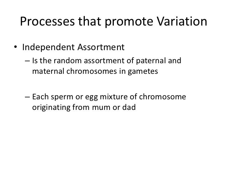 Crossing over and independent assortment
