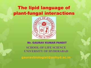 The lipid language of
plant-fungal interactions
Mr. GAURAV KUMAR PANDIT
SCHOOL OF LIFE SCIENCE
UNIVERSITY OF HYDERABAD
gauravbiologist@uohyd.ac.in
 