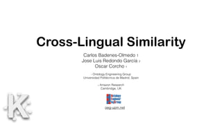 oeg-upm.net
Cross-Lingual Similarity
Carlos Badenes-Olmedo 1
Jose Luis Redondo García 2
Oscar Corcho 1
1 Ontology Engineering Group
Universidad Politécnica de Madrid, Spain
2 Amazon Research
Cambridge, UK
 