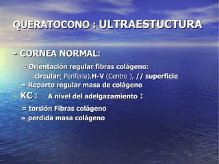QUERATOCONO :  ULTRAESTUCTURA -  CORNEA NORMAL: = Orientación regular fibras colágeno: .circular ( Periferia), H-V  (Centre ),  // superficie = Reparto regular masa de colágeno KC :  A nivel del adelgazamiento  : = torsión Fibras colágeno = perdida masa colágeno 