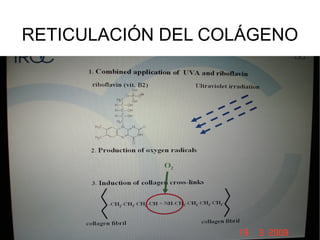 RETICULACIÓN DEL COLÁGENO 