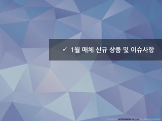  1월 매체 신규 상품 및 이슈사항
 