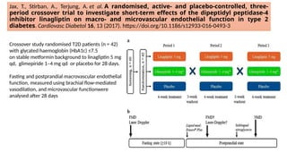 Jax, T., Stirban, A., Terjung, A. et al. A randomised, active- and placebo-controlled, three-
period crossover trial to investigate short-term effects of the dipeptidyl peptidase-4
inhibitor linagliptin on macro- and microvascular endothelial function in type 2
diabetes. Cardiovasc Diabetol 16, 13 (2017). https://doi.org/10.1186/s12933-016-0493-3
Crossover study randomised T2D patients (n = 42)
with glycated haemoglobin (HbA1c) ≤7.5
on stable metformin background to linagliptin 5 mg
qd, glimepiride 1–4 mg qd or placebo for 28 days.
Fasting and postprandial macrovascular endothelial
function, measured using brachial flow-mediated
vasodilation, and microvascular functionwere
analysed after 28 days
 