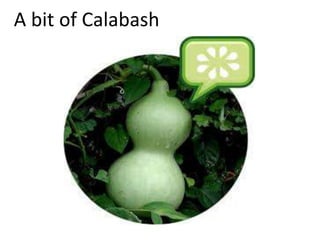 A bit of Calabash
 