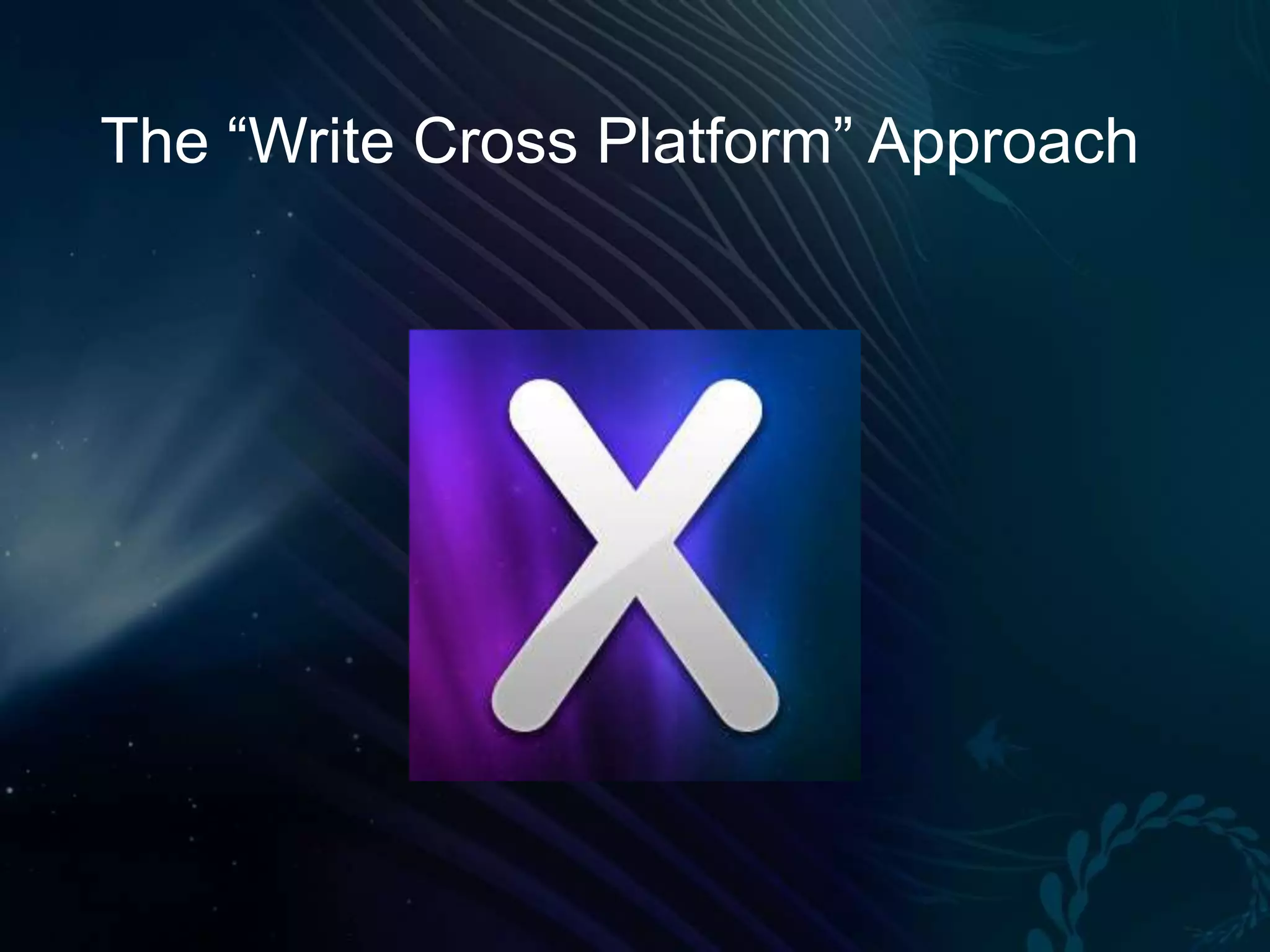 The “Write Cross Platform” Approach 
