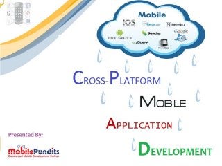 Cross platform mobile development process and features