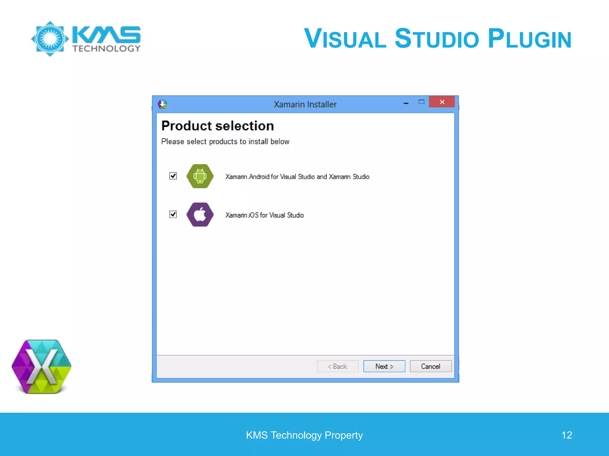 VISUAL STUDIO PLUGIN KMS Technology Property 12 