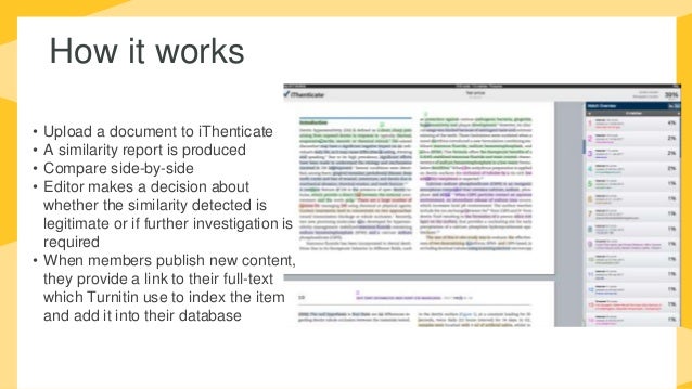 ithenticate log in information reddit