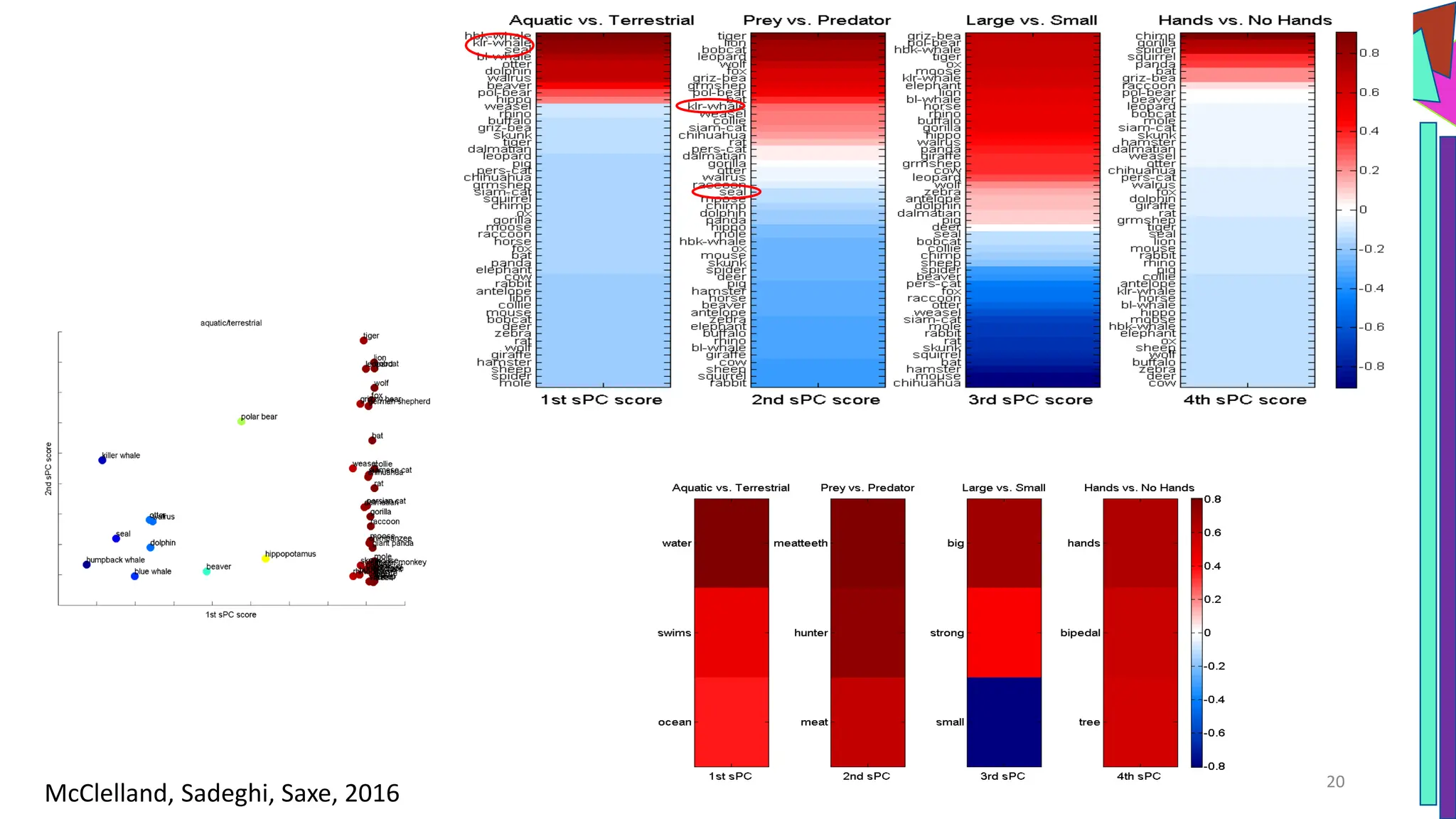 20
McClelland, Sadeghi, Saxe, 2016
 