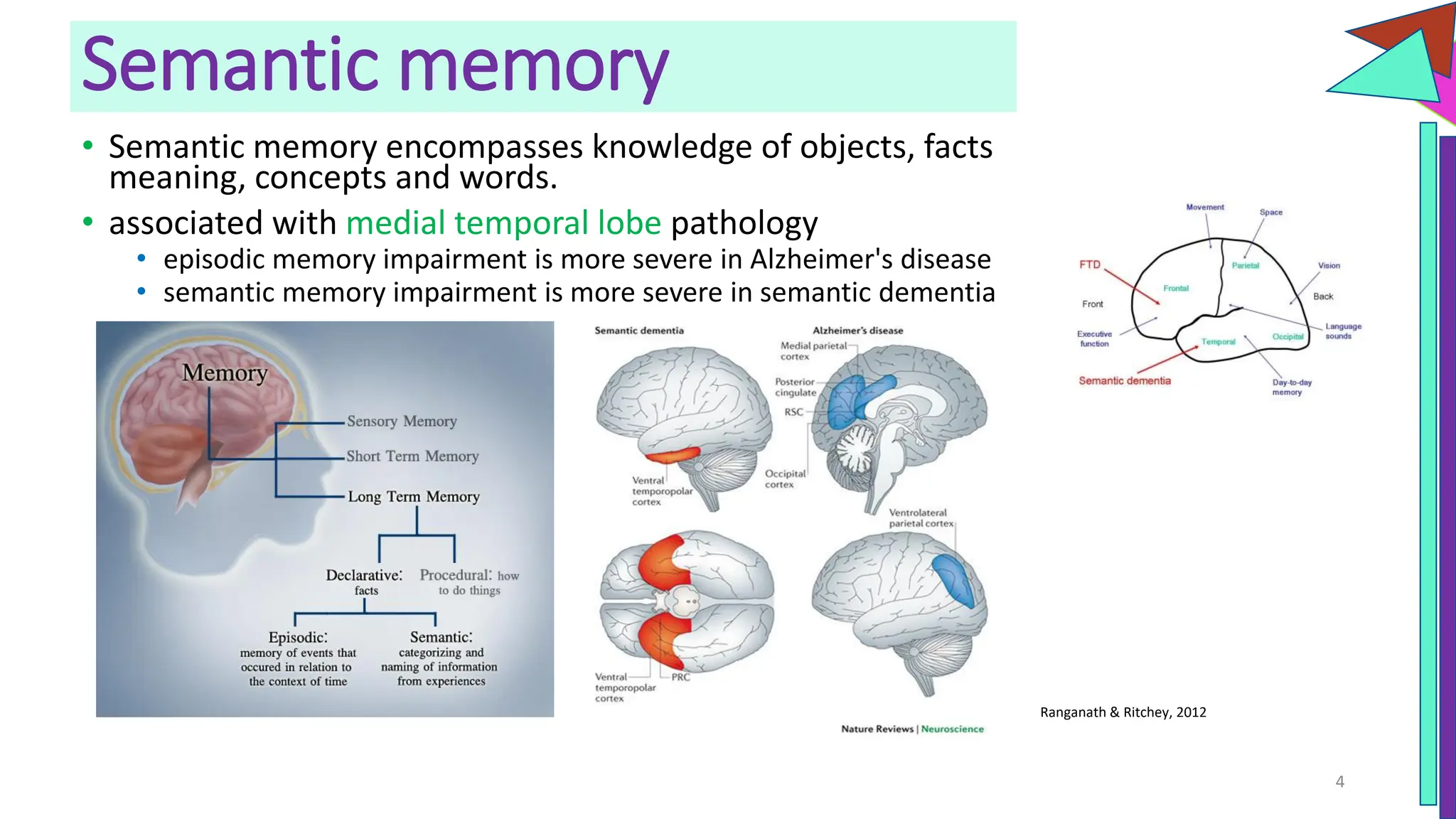 Semantic memory
• Semantic memory encompasses knowledge of objects, facts
meaning, concepts and words.
• associated with medial temporal lobe pathology
• episodic memory impairment is more severe in Alzheimer's disease
• semantic memory impairment is more severe in semantic dementia
4
Ranganath & Ritchey, 2012
 