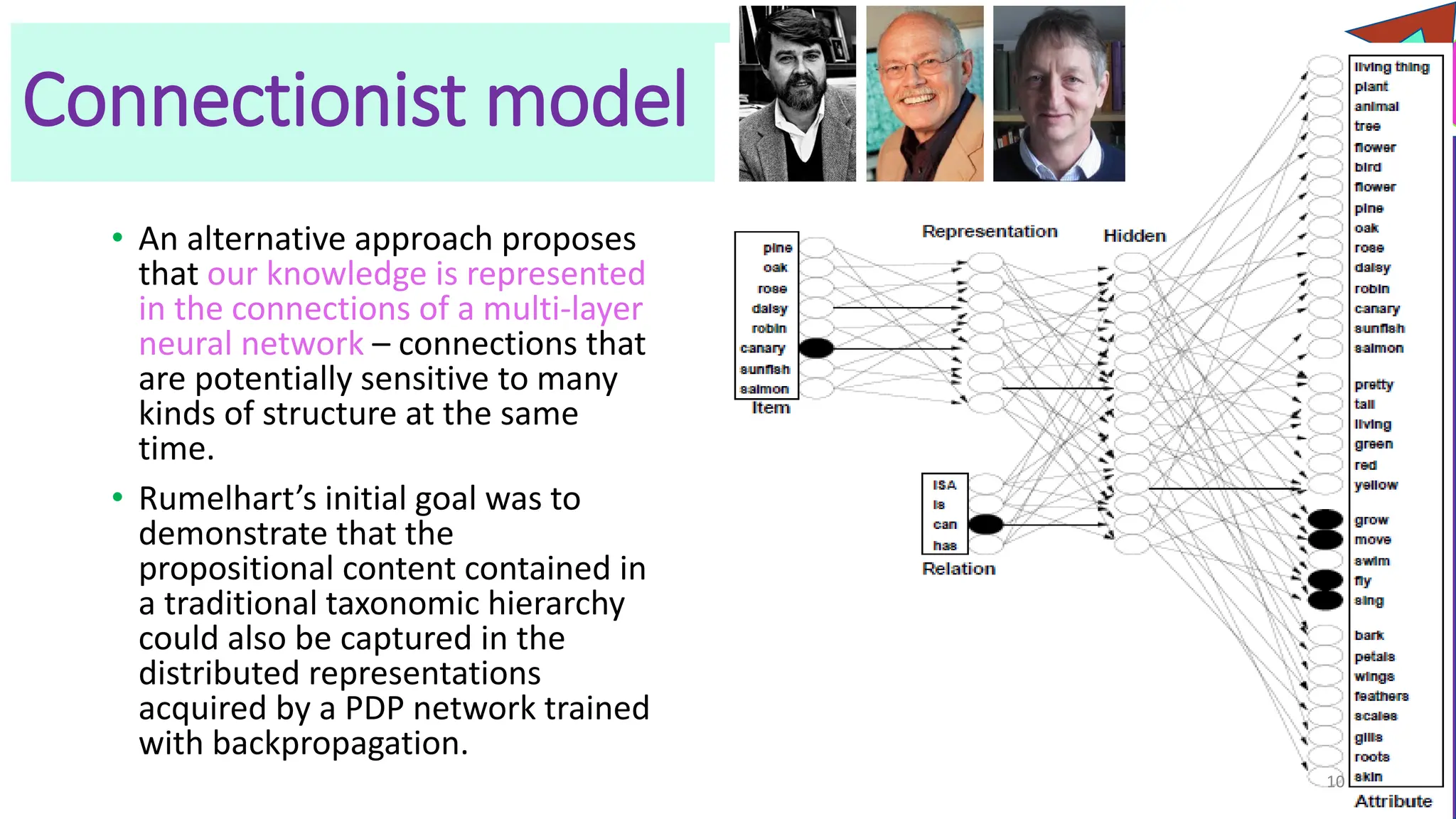 Connectionist model
• An alternative approach proposes
that our knowledge is represented
in the connections of a multi-layer
neural network – connections that
are potentially sensitive to many
kinds of structure at the same
time.
• Rumelhart’s initial goal was to
demonstrate that the
propositional content contained in
a traditional taxonomic hierarchy
could also be captured in the
distributed representations
acquired by a PDP network trained
with backpropagation.
10
 