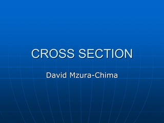 CROSS SECTION
David Mzura-Chima
 