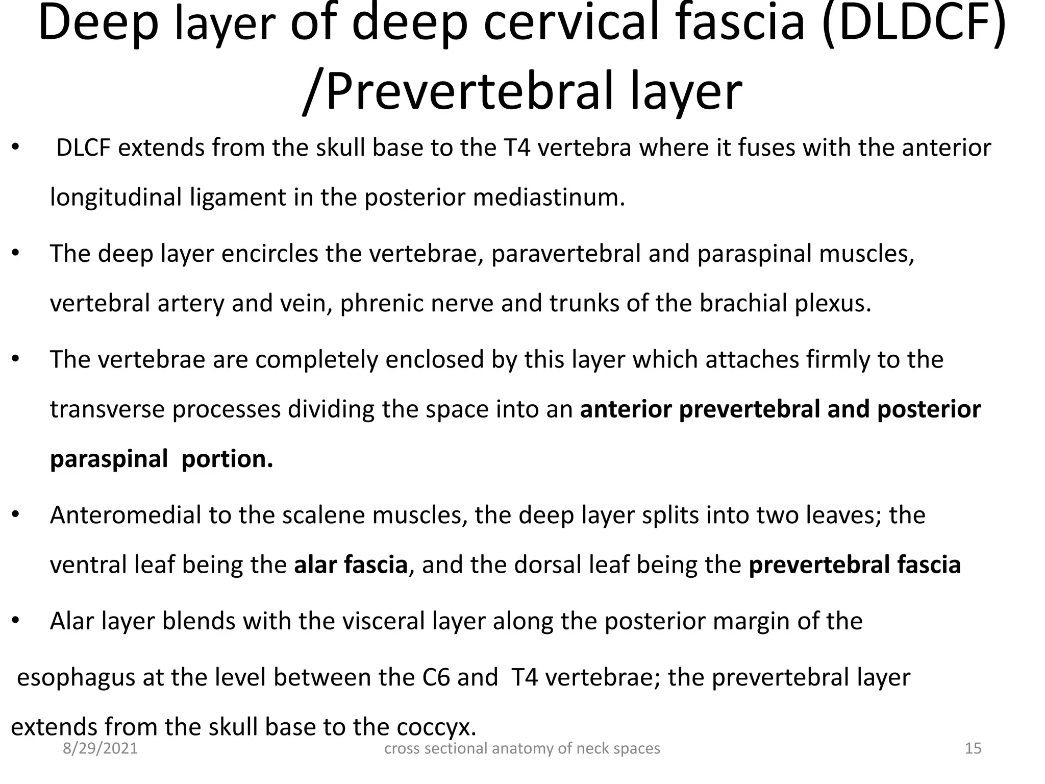 Deep layer of deep cervical fascia (DLDCF)
/Prevertebral layer
• DLCF extends from the skull base to the T4 vertebra where it fuses with the anterior
longitudinal ligament in the posterior mediastinum.
• The deep layer encircles the vertebrae, paravertebral and paraspinal muscles,
vertebral artery and vein, phrenic nerve and trunks of the brachial plexus.
• The vertebrae are completely enclosed by this layer which attaches firmly to the
transverse processes dividing the space into an anterior prevertebral and posterior
paraspinal portion.
• Anteromedial to the scalene muscles, the deep layer splits into two leaves; the
ventral leaf being the alar fascia, and the dorsal leaf being the prevertebral fascia
• Alar layer blends with the visceral layer along the posterior margin of the
esophagus at the level between the C6 and T4 vertebrae; the prevertebral layer
extends from the skull base to the coccyx.
cross sectional anatomy of neck spaces 15
8/29/2021
 