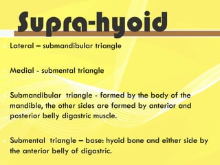 Submalar Triangle Cross sectional anatomy of the neck | PDF