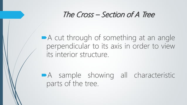 Cross section of a tree | PPTX